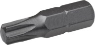 TORX T20x25 SKRUTKOVAČE BIT 1 KS