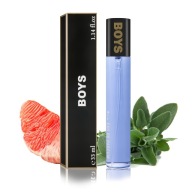 PÁNSKE PARFÉMY PARFÉMY 33 ML CHLAPČENSKÉ