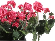 Umelé kvety Geranium na balkónovú terasu - ružová