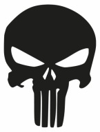 Nálepka na motorku PUNISHER 20cm _COLORS