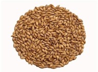 Abbey Malt 40 - 50 EBC Weyermann 0,5 kg drvený