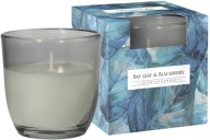 Vonná sviečka v skle BISPOL 22H BAY LEAF - BLACKBERRY