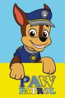 Paw Patrol uterák na ruky 30x50