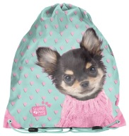 ŠKOLSKÉ TAŠKA NA OBUV PASO DOG DOG PAD-712
