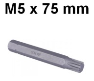 Bit 10 mm RIBE M5 x 75 mm D10R75M05A Jonnesway