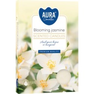 BISPOL Aura 4H voňavé ohrievače BLOOMING JASMINE 6 ks.