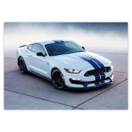 Nálepky Ford Mustang Shelby LEVEL A5