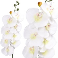 ORCHIDEA ORCHIDEA Vetvička LIVING QUALITY 90cm
