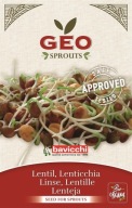 SEmienka ŠOŠOVICE PRE GEO CERTIFIKOVANÉ KLÍČKY 90g