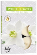 Bispol HEATERS p15 vôňa WHITE FLOWERS 4h