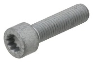SKRUTKA 434.400 ELRING
