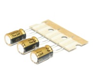 AUDIOPHIL NICHICON FG (Fine Gold) 100uF/16V - 3 ks (#649)