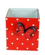 Flower Box Box so štvorcovým motýľom
