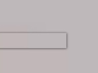 Schilsner ABS hrana pre U12044 SD 43x2 mm Delfina Grey Schilsner