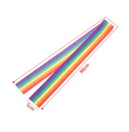 Ozdoba stuhou, do vlasov PRIDE LGBT 12mm