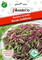 Cviklové klíčky Plantico 20G