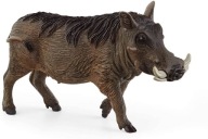 Schleich Wild Life figúrka Warthog 14843