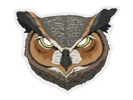 Papierová maska ​​na tvár Party Deco MASP5 Owl