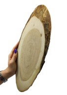 PLÁSOK KONSKÉHO DREVA, ELIPTICKÝ, ŠIKMÝ, 30-35 CM, DEKORATÍVNY PODNÁK, DREVO