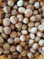 LIESKOVÉ ORIEŠKY V LÚPANÝCH POĽSKÝCH 1 KG ÚROBA 2023