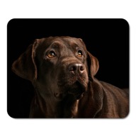 PODLOŽKA POD MYŠ PRE PSA LABRADOR
