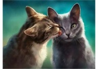 DIAMANTOVÁ MOZAIKA KREATÍVNA VÝŠIVKA CAT LOVE 30X40 CM