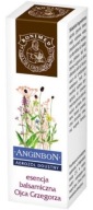 ANGINBON ORÁLNY AEROSOL 9 ml
