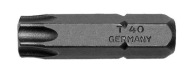 BROTY PROFILU TORX 30X25 MM. 1/4