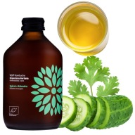 VIGO KOMBUCHA UHORKOVÁ KORIANDER 330ml NÁPOJ