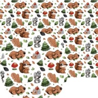 Obliečka 40x90 látka bavlna 181 ježko