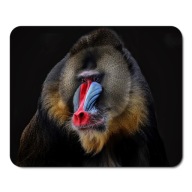 Podložka pod myš WILD ANIMALS BABOON