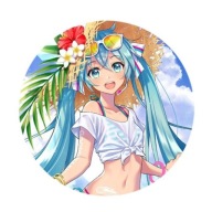 Vocaloid Hatsune Miku pin vzor3