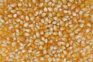 Popcorn Zrno Kukurica na praženie 200g