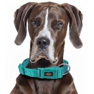 Prémiový golier, L–XL: 40–65 cm/25 mm, morská modrá