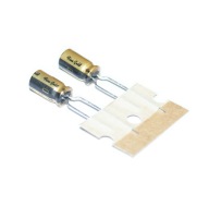 AUDIOFIL NICHICON FG Fine Gold 47uF/25V - 2 kusy (#596)