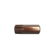 TORX T40 bit 5/16