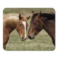 PODLOŽKA NA MYŠ HORSE HORSES