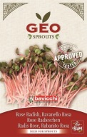 Semená ružovej reďkovky na klíčky GEO, Bavicchi