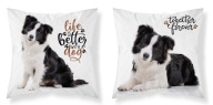 PLÁŠKA NA VANKÚŠ 40x40 PSÍKOV Border Collie