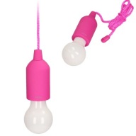 Virone Wireless LED Tourist Night Light Stan Camping Battery