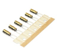 AUDIOPHIL NICHICON FG (Fine Gold) 3,3uF/50V - 6 ks (#613)