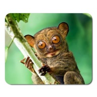 Podložka pod myš WILD ANIMALS MONKEY