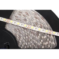 LED pásik 12V studená biela zaplavená 60/5050/1m ​​​​(25mb roll)