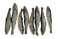 SPRAT PREMIUM sušené šproty pre psov a mačky 100g