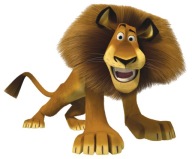 NÁLEPKA NA ZRKADLOVÉ OKNO TUČŇAKY Z MADAGASKARU
