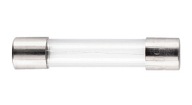 100maF SKLENENÁ POISTKA 30mm 250V (10KS)