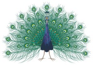 NÁLEPKA NA ZRKADLO NA OKNO PAW BIRD
