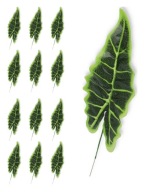 Alocasia list, 12 kusov, umelý pre zloženie