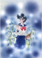 Plagát Bishoujo Senshi Sailor Moon bssm_008 A3