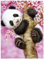 DIAMANTOVÁ MOZAIKA 5D DIAMANTOVÁ VÝŠIVKA PANDA